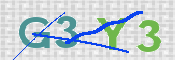 この文字を入力してください