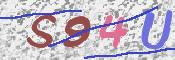 この文字を入力してください