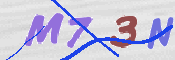 この文字を入力してください