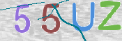 この文字を入力してください