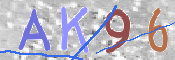 この文字を入力してください