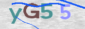 この文字を入力してください