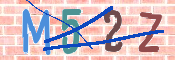 この文字を入力してください