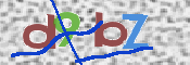 この文字を入力してください