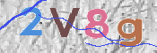 この文字を入力してください
