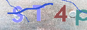 この文字を入力してください
