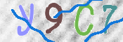 この文字を入力してください