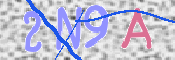 この文字を入力してください