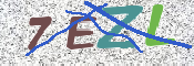 この文字を入力してください