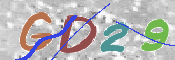この文字を入力してください