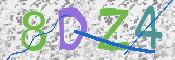 この文字を入力してください