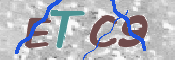 この文字を入力してください