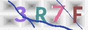 この文字を入力してください