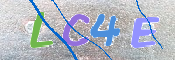 この文字を入力してください
