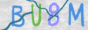 この文字を入力してください