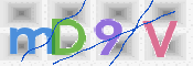 この文字を入力してください