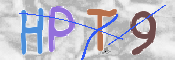 この文字を入力してください