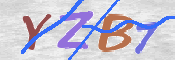 この文字を入力してください