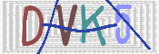 この文字を入力してください