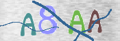 この文字を入力してください