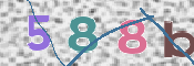 この文字を入力してください