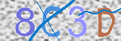 この文字を入力してください
