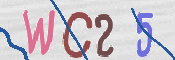 この文字を入力してください