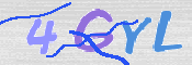 この文字を入力してください