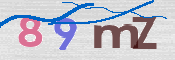 この文字を入力してください