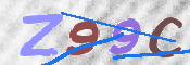 この文字を入力してください