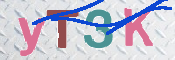 この文字を入力してください