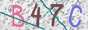 この文字を入力してください