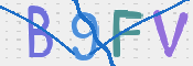 この文字を入力してください