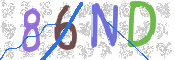 この文字を入力してください