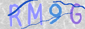 この文字を入力してください
