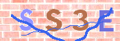 この文字を入力してください