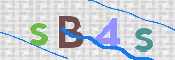 この文字を入力してください