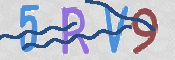 この文字を入力してください
