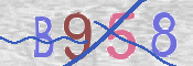 この文字を入力してください