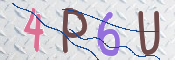 この文字を入力してください