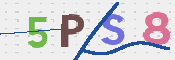 この文字を入力してください