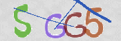 この文字を入力してください