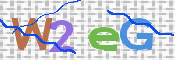 この文字を入力してください