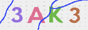 この文字を入力してください