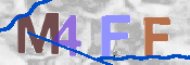 この文字を入力してください