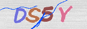この文字を入力してください
