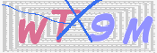 この文字を入力してください