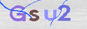 この文字を入力してください