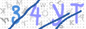この文字を入力してください