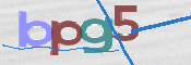この文字を入力してください